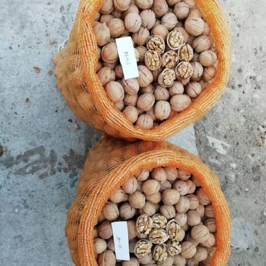 秦皇岛 清香核桃，纯正品种，保质保量