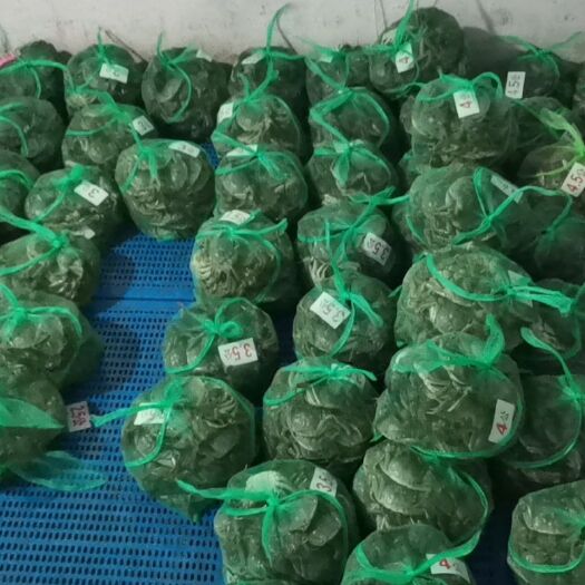兴化市 兴化大闸蟹
