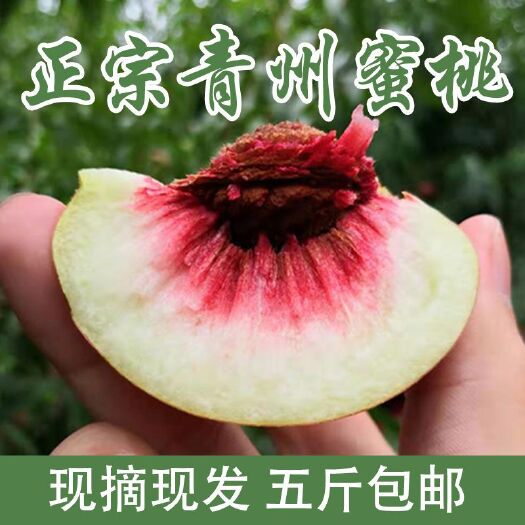 青州市【顺丰包邮】青州蜜桃5斤装 个头虽小，味道足够美味，果汁多