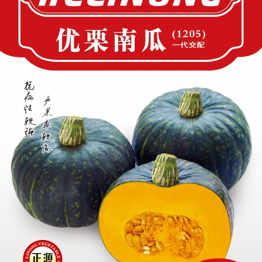 汕头贝贝南瓜种子 3斤左右板栗