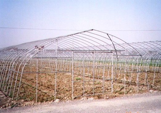 沭阳县 成套大棚骨架蔬菜大棚温室大棚钢管大棚