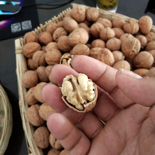 盐边县 大凉山2019上新大优1号干核桃