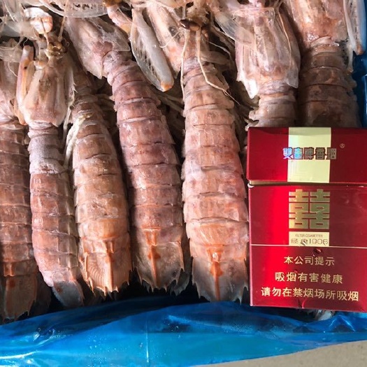 佛山 冷冻皮皮虾