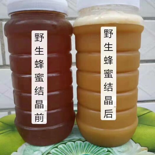 天柱县 蜂蜜天然正宗自然蜂蜜不喂养产量低价钱高