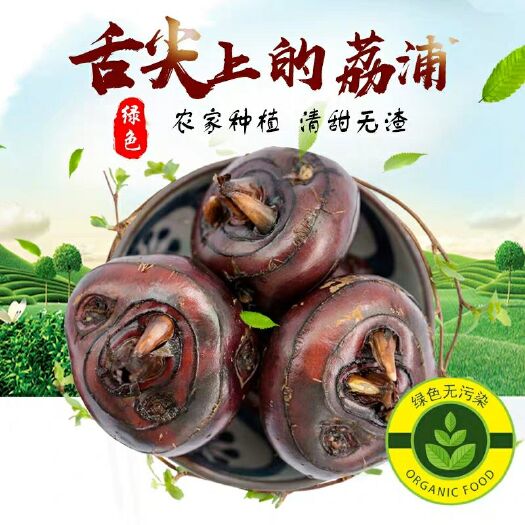 南昌县 10月现挖新鲜荔浦马蹄大果桂林特产蔬菜荸荠16-20个每斤
