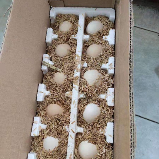 沈阳 鸡蛋很新鲜