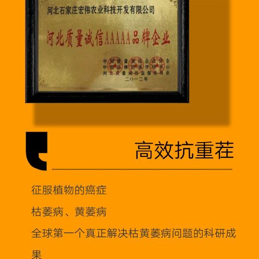 石家庄重茬剂  追丰 高效抗重茬