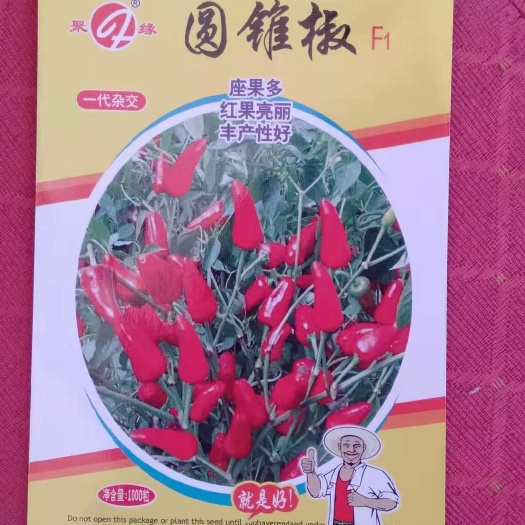 郑州草莓椒种子 圆锥椒