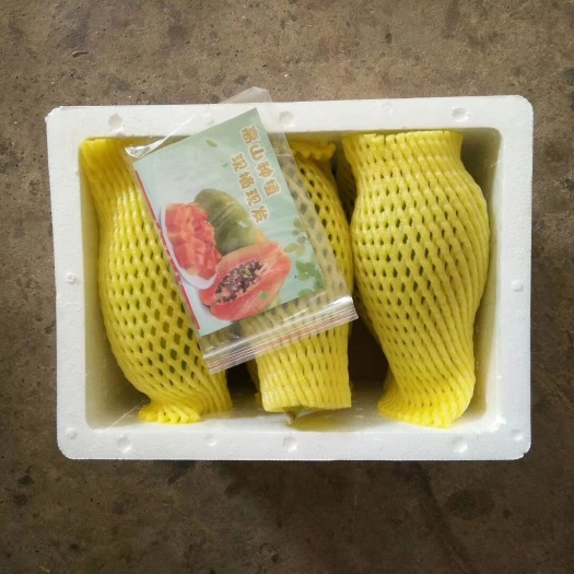 上林县 木瓜