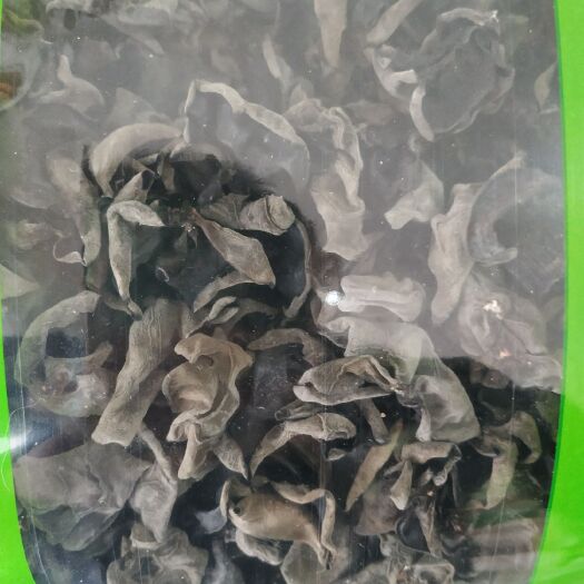 南漳县 高山秋木耳，筛选过，特级，干度好。