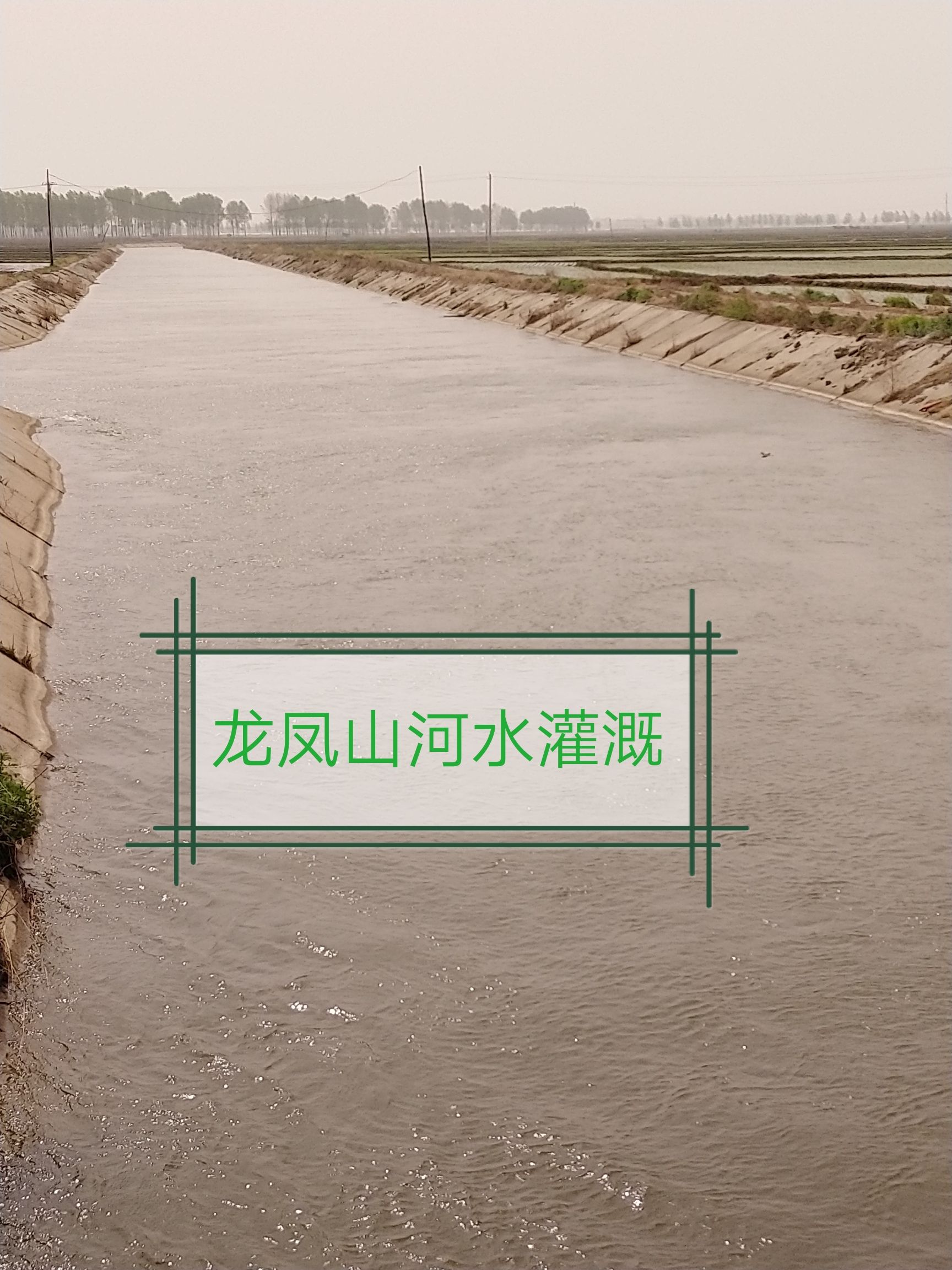 稻花香  21年新米，五常农民自产自销，现磨现卖。