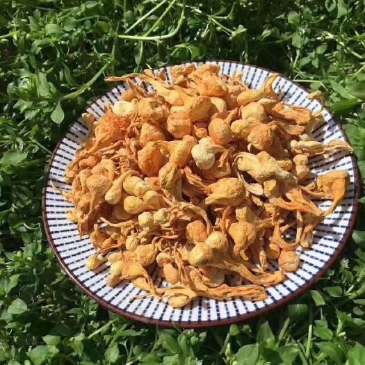 安国市孢子头虫草花500克包邮虫草花煲汤炒菜