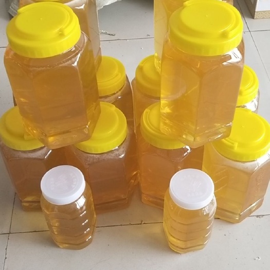 桦甸市 19年新的椴树蜜   保质保量  天然