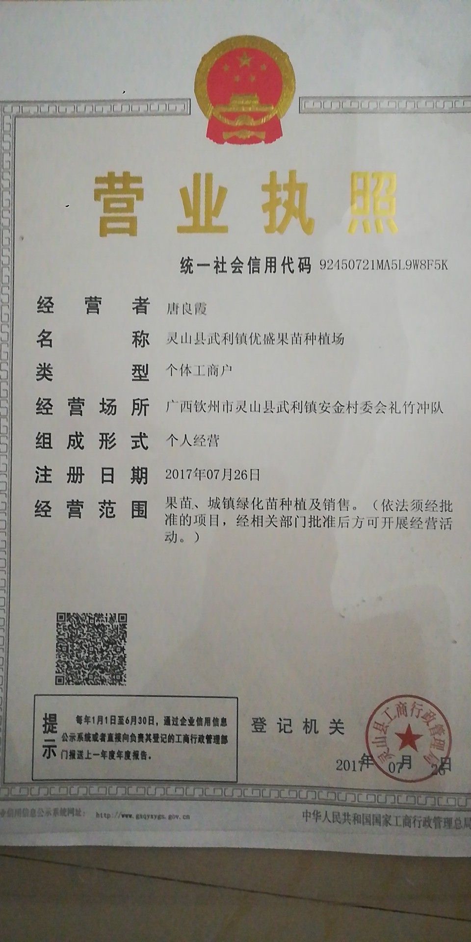 释迦果苗  凤梨释迦  榴莲释迦 嫁接苗