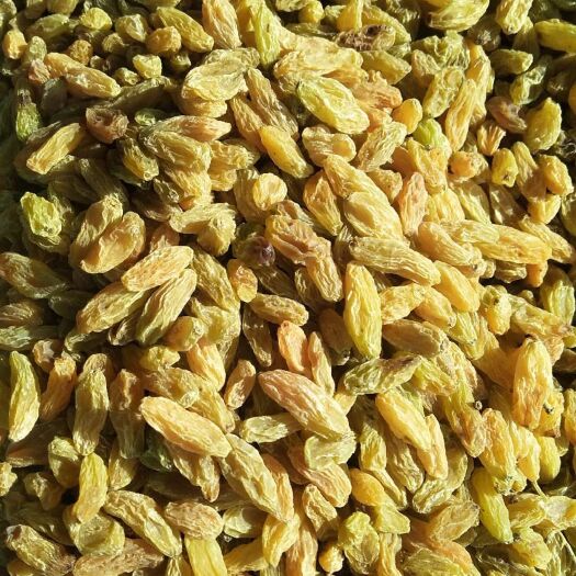 鄯善县无核葡萄干  2019新葡萄干上市咯！吐鲁番市发货