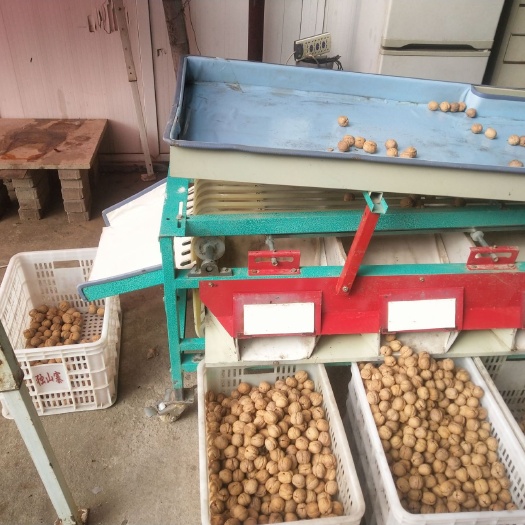 汶上县纸质包装盒 绿色食品认证，品种改良示范基地