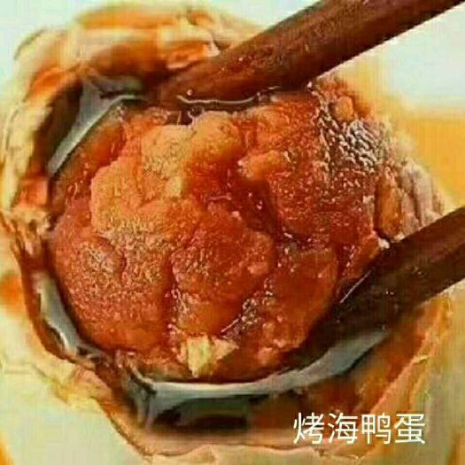 北海 广西北海烤海鸭蛋，一手货源，支持一件代发