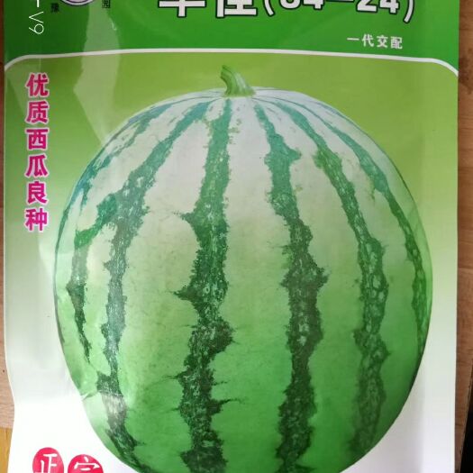 郑州早佳8424西瓜种子 早佳8424