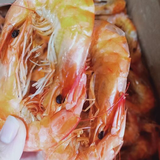 仙游县对虾干 对虾