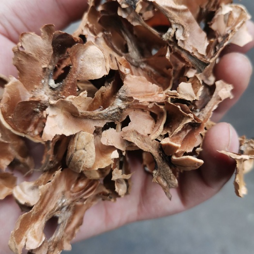 成都厂家直销精品好货核桃分心木