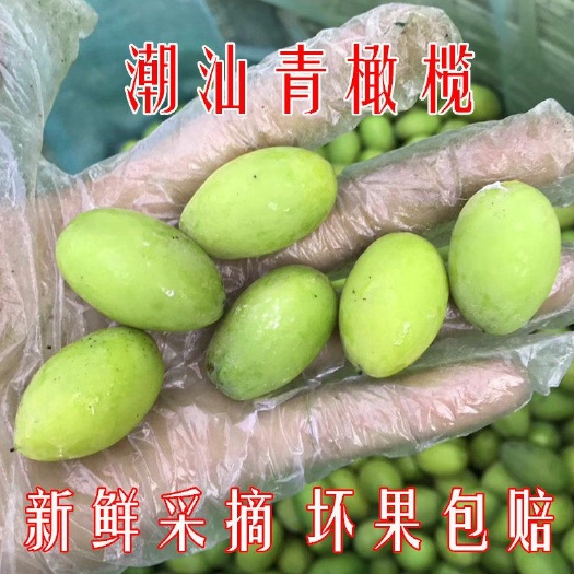 揭西县 橄榄菜、甘草橄榄、橄榄核工艺品、生吃……，欢迎长期购买。