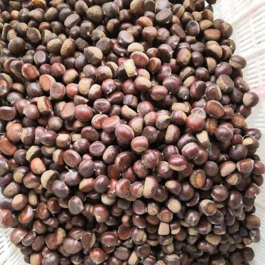 蒙阴县 沂蒙板栗 小粒