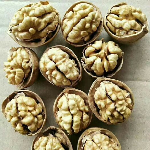 中牟县新疆185核桃  新疆185纯白仁纯纸皮，（批发价不包邮）