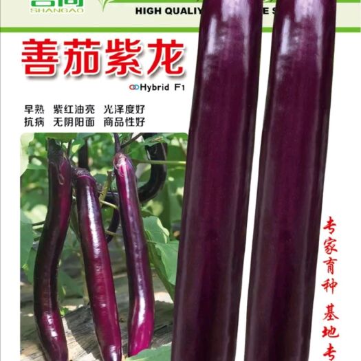 樟树市 善茄紫龙紫红长茄种子线茄种子早熟杂交一代茄子种子紫红油亮抗病