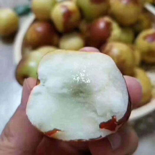 滨州沾化冬枣