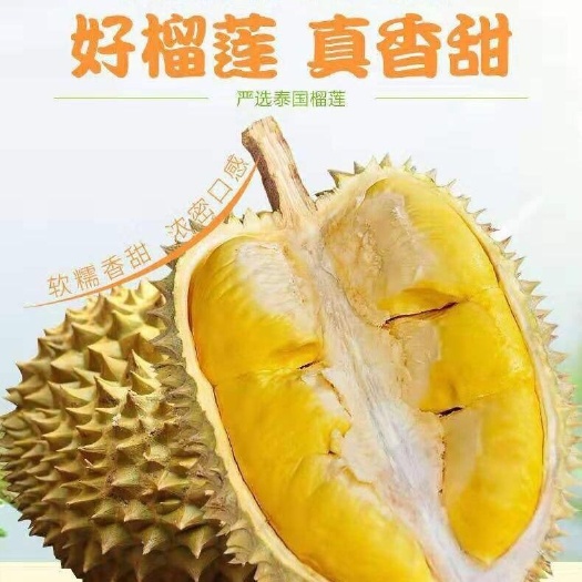 临沂 榴莲泰国榴莲金枕头榴莲一件代发