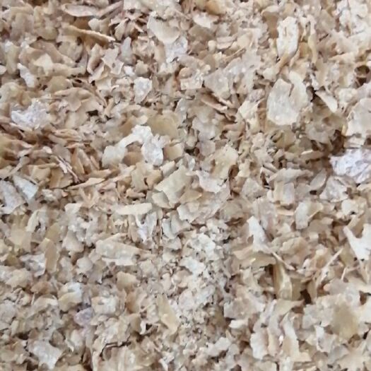 合肥麦麸 大量出售麸皮次粉面粉玉米，价格从优