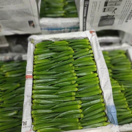 三亚水果秋葵 8 - 10cm