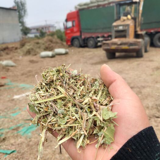 正阳县 花生秧羊草，羊草价格