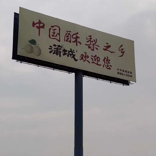 蒲城县 蒲城酥梨，现摘现发，天然无农药残留