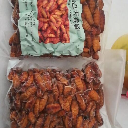 佛山 蚕蛹