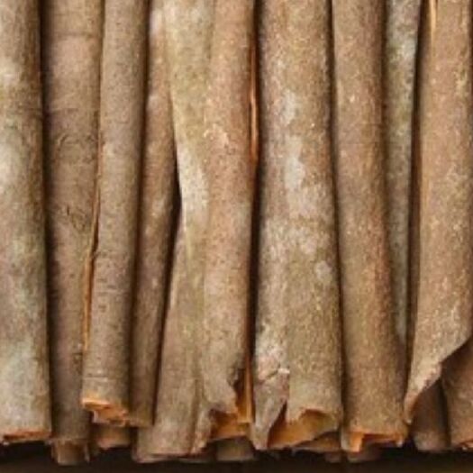 德庆县 桂皮.野桂皮.等其他中药材，包邮