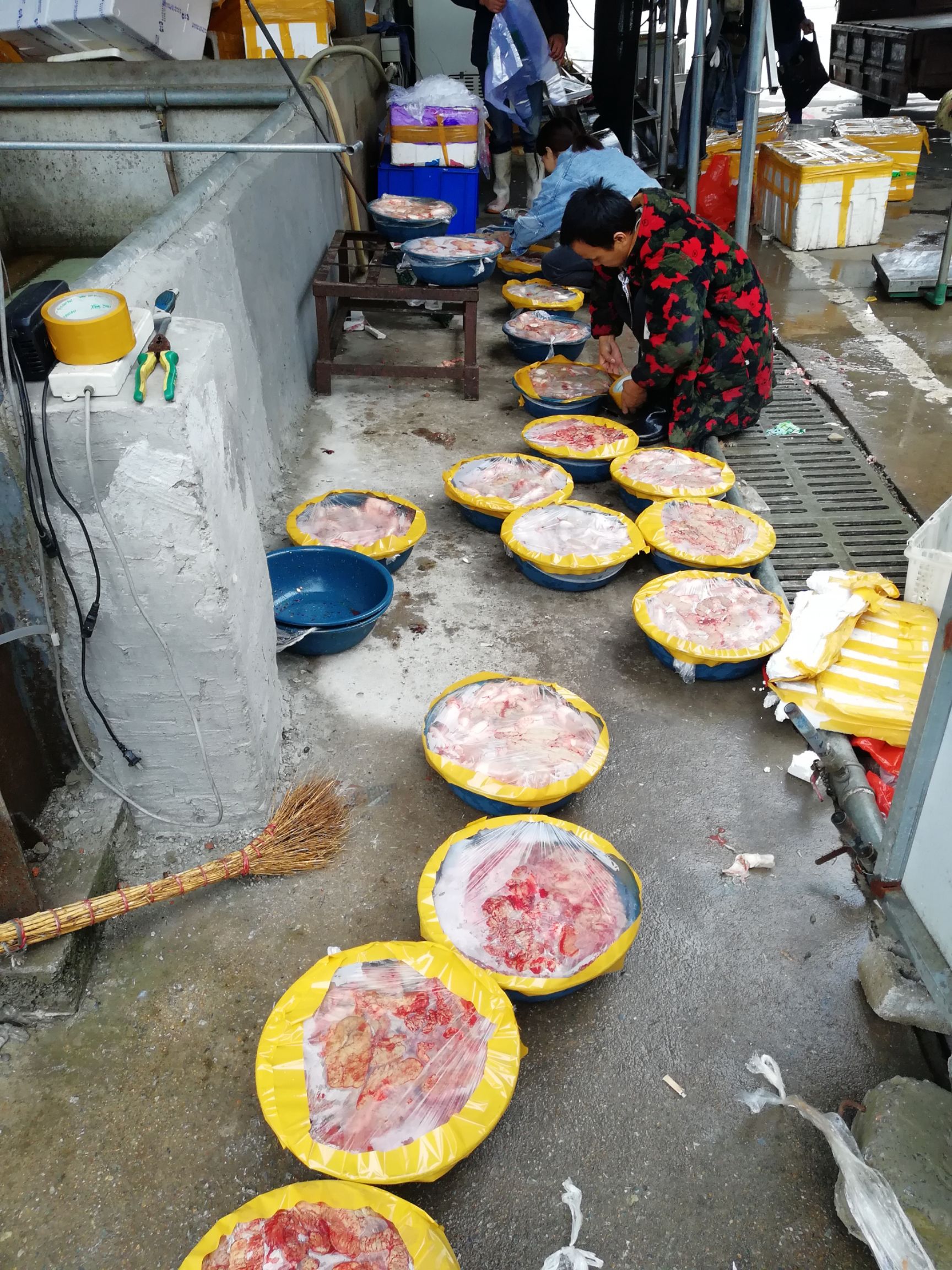 鱼籽干 鱼籽，鱼泡，鱼杂