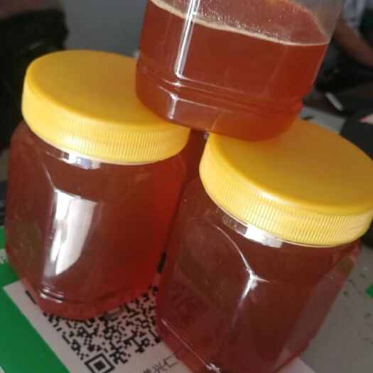 兴仁市 深山百花蜜