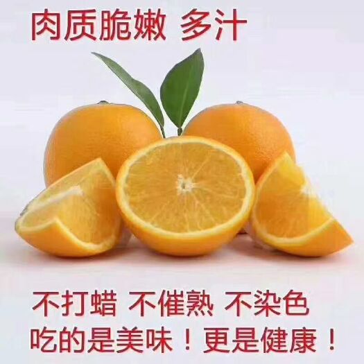 赣州 赣南脐橙大量供应