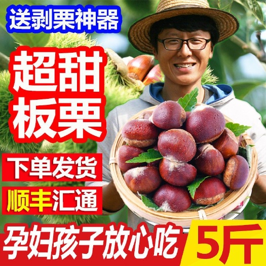 临沂 沂蒙山优质板栗5斤装一件代发
