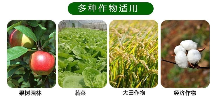 40%辛硫磷乳油地下害虫土蚕地老虎金针虫效果好