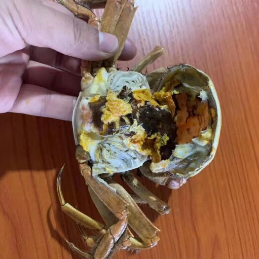 中山市 大闸蟹(大部份地区包邮)