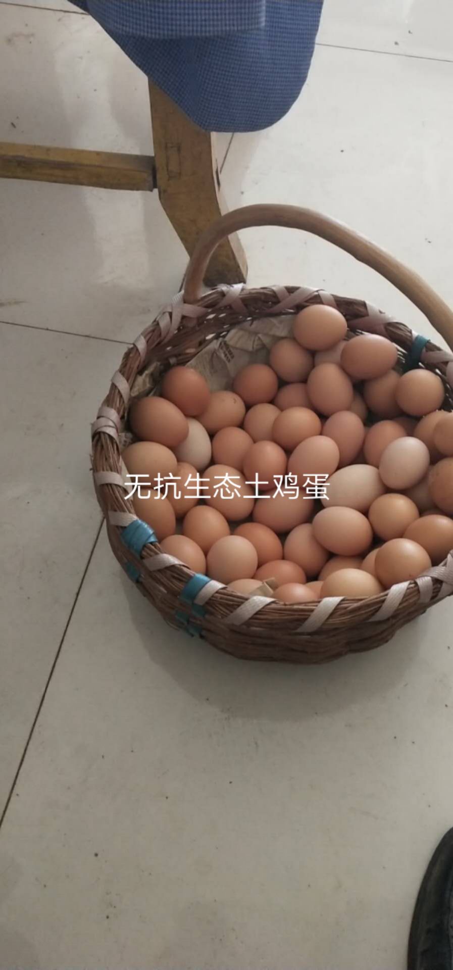  无抗生态土鸡蛋