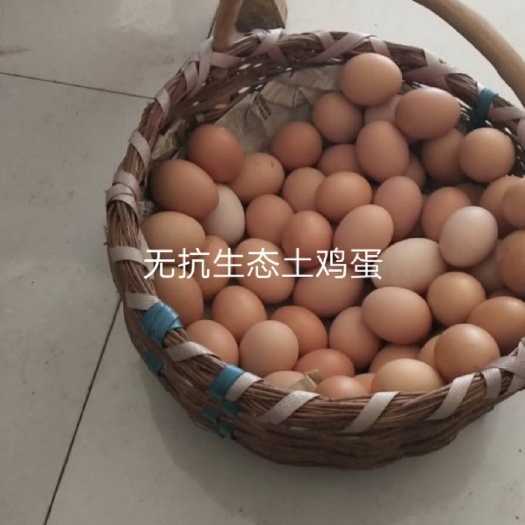 彭阳县 无抗生态土鸡蛋