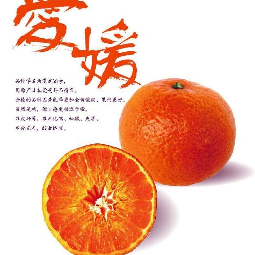 丹棱县爱媛38号柑桔 爱媛38（贵妇人）老人孕妇小孩最爱维C之王量大从优