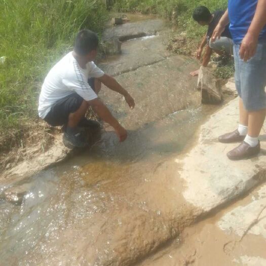 有林地 有山泉水的种养基地