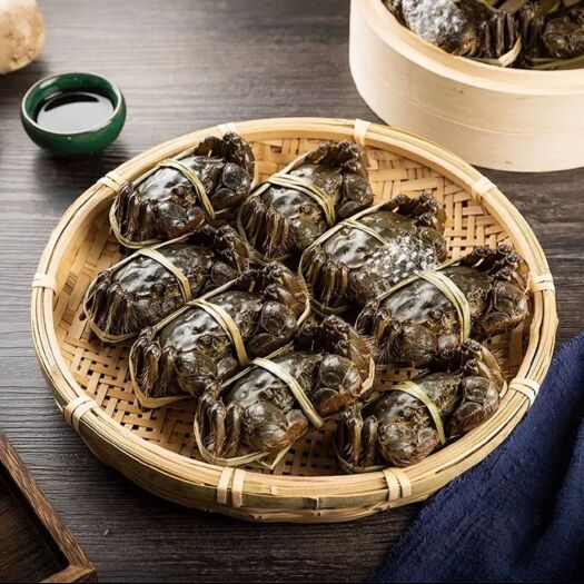 苏州 鲜活大闸蟹全母蟹1.8-4.5两精品螃蟹活体湖蟹现货