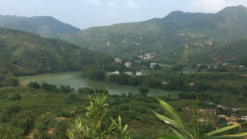 信宜市 环境优美的养蜜蜂