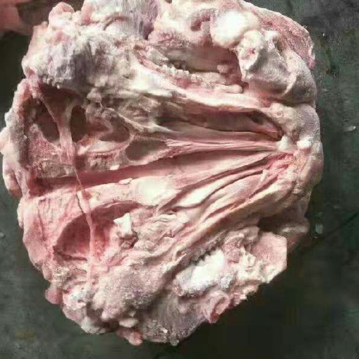 济南猪头肉 无耳头