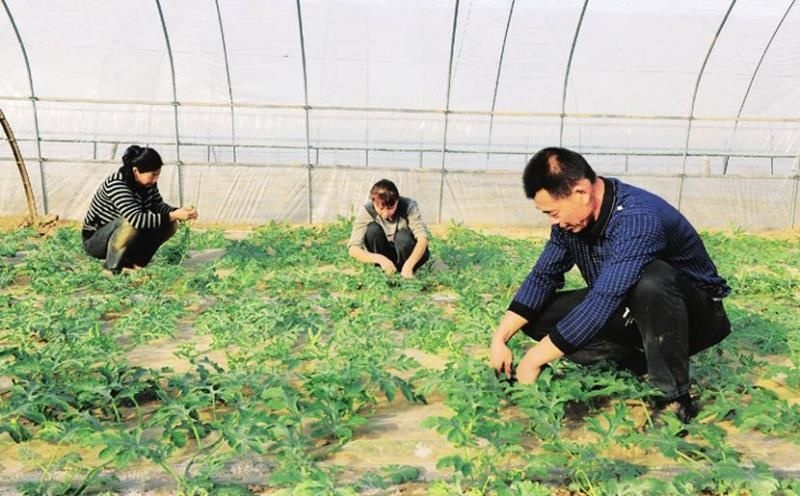无锡 大棚钢管，大棚骨架，锌层厚的钢架大棚